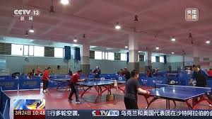 2026年世界杯官网 乒乓球台哪种颜色好用